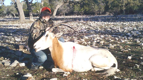 Stephen Comeau, Benicia, CA - Scimitar Horned Oryx, 320 lbs, horns 39 and 41 inches, Kendal County, TX, January 27, 2012